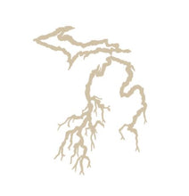 Load image into Gallery viewer, Michigan Roots Custom Precision Die Cut Vinyl Decal Sticker Design Style Graphics