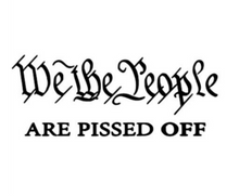 Load image into Gallery viewer, We The People Are Pissed Off Vinyl Decal Sticker Design Style Graphics