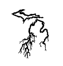 Load image into Gallery viewer, Michigan Roots Custom Precision Die Cut Vinyl Decal Sticker Design Style Graphics