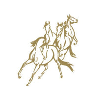 Load image into Gallery viewer, Wild Horses Custom Precision Die Cut Vinyl Decal Sticker Design Style Graphics