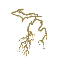Load image into Gallery viewer, Michigan Roots Custom Precision Die Cut Vinyl Decal Sticker Design Style Graphics