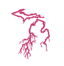 Load image into Gallery viewer, Michigan Roots Custom Precision Die Cut Vinyl Decal Sticker Design Style Graphics