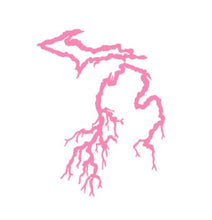 Load image into Gallery viewer, Michigan Roots Custom Precision Die Cut Vinyl Decal Sticker Design Style Graphics
