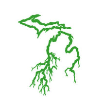 Load image into Gallery viewer, Michigan Roots Custom Precision Die Cut Vinyl Decal Sticker Design Style Graphics