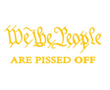 Load image into Gallery viewer, We The People Are Pissed Off Vinyl Decal Sticker Design Style Graphics