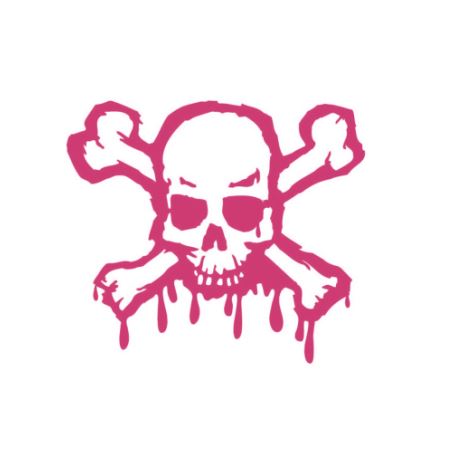 Skull And Crossbones Decal  Sticker (Large Sizes) – Design Style